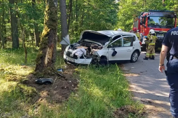 Wypadek w Gołąbkach: samochód uderzył w drzewo