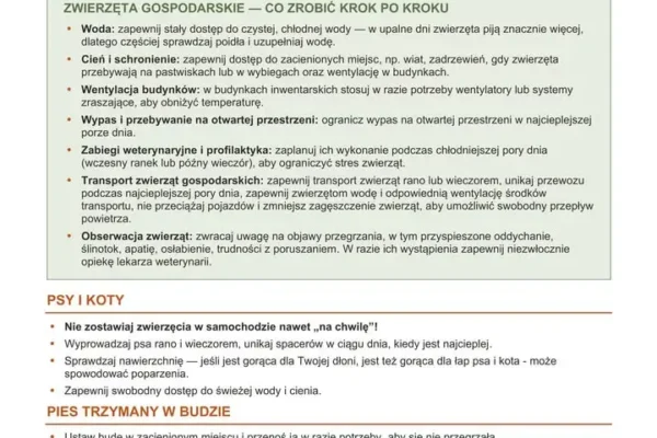 Jak chronić zwierzęta przed upałami? Ważne zasady od weterynarzy