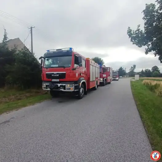 Pożar w Wydartowie i wyciek gazu w Trzemesznie – strażacy apelują o czujniki
