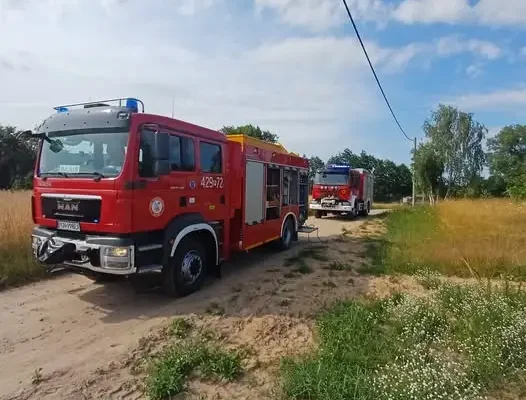 Pożar w Kalinie: strażacy zapobiegli rozprzestrzenieniu ognia