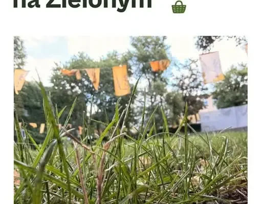 Piknik na Zielonym w Gnieźnie – wakacyjny relaks z atrakcjami dla każdego