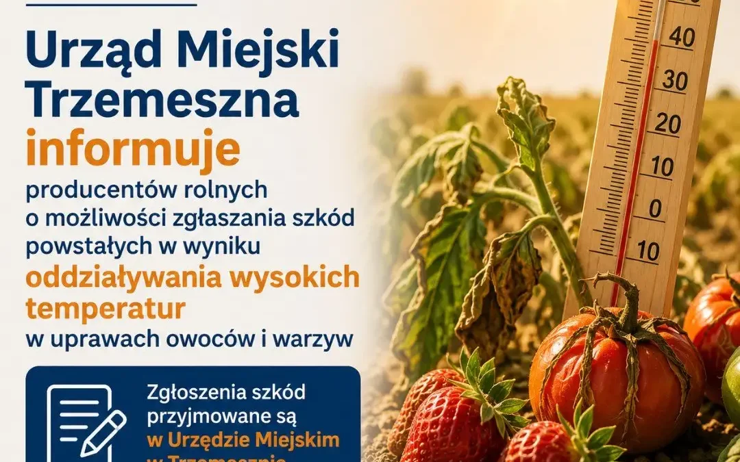 Producenci rolni z Trzemeszna mogą zgłaszać szkody spowodowane upałami w uprawach owoców i warzyw