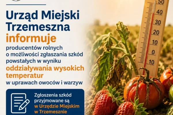 Producenci rolni z Trzemeszna mogą zgłaszać szkody spowodowane upałami w uprawach owoców i warzyw