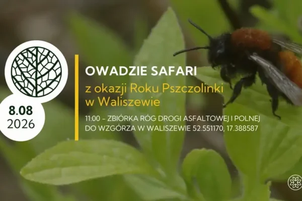 Owadzie Safari w Waliszewie – przyrodnicza przygoda z okazji Roku Pszczoły
