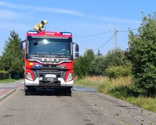 Ogórki na drodze w Przysiece – interwencja OSP Mieleszyn