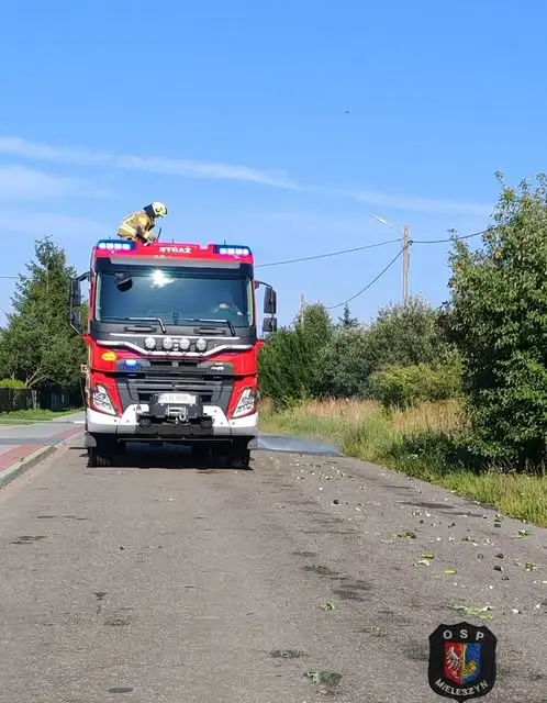 Ogórki na drodze w Przysiece – interwencja OSP Mieleszyn