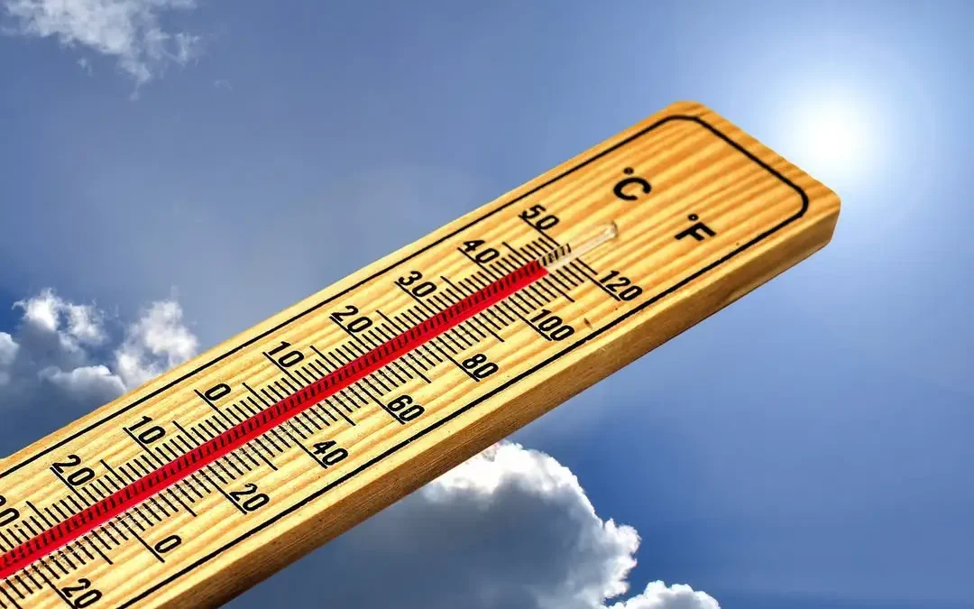 Upał II stopnia: ostrzeżenie meteorologiczne dla Gniezna i okolic