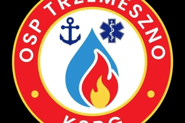 Podsumowanie akcji OSP Trzemeszno: od gniazd os po kolizję i alarm na dworcu