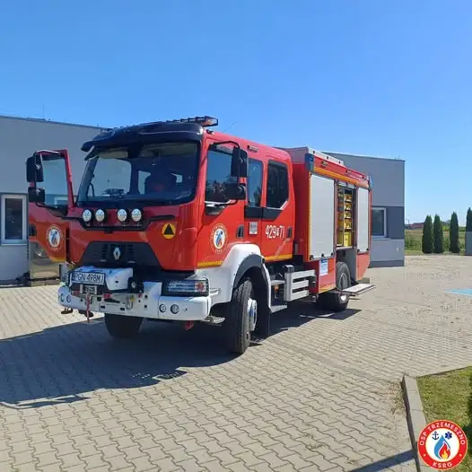 OSP Trzemeszno usunęło gniazdo owadów błonkoskrzydłych w Cytrynowie