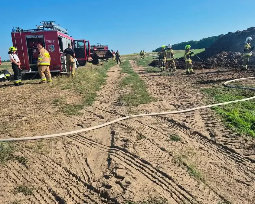 Pożar obornika w Dziadkówku – strażacy z trzech jednostek w akcji