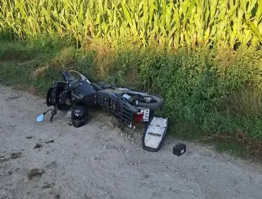 Trzy interwencje strażaków z Trzemeszna: zalany plac, wypadek i gniazdo owadów