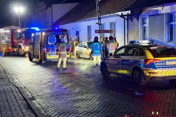OSP Trzemeszno podsumowuje ostatnie interwencje. Były wypadki, gniazda owadów i pomoc policji
