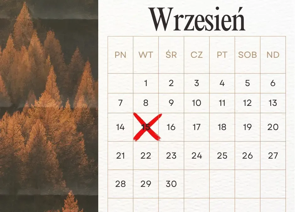 Przypomnienie o III racie podatku od nieruchomości, rolnego i leśnego – termin do 15 września 2026