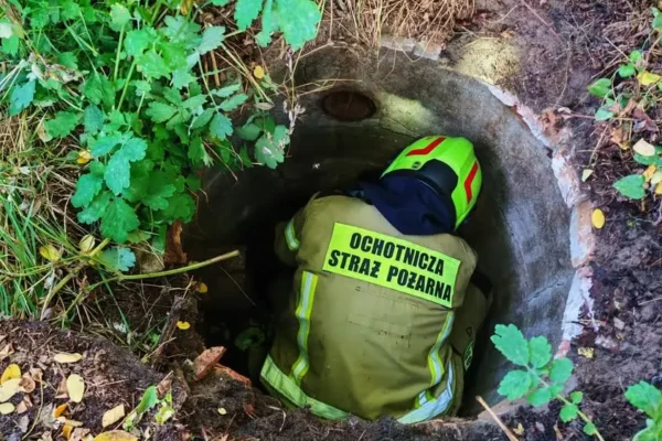Koty uwięzione w studni w Przysiece — interweniowała OSP Mieleszyn