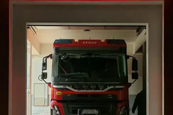 Zderzenie auta z łosiem na S5 pod Mieleszynem. Działały cztery zastępy OSP i LPR