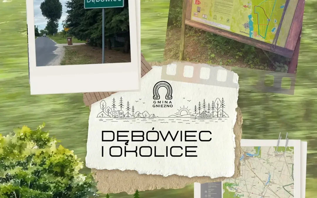 Las w Dębówcu — idealne miejsce na weekendowy spacer w Gminie Gniezno