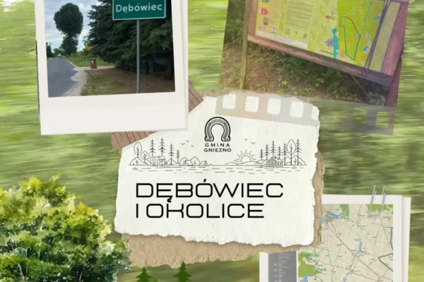 Las w Dębówcu — idealne miejsce na weekendowy spacer w Gminie Gniezno