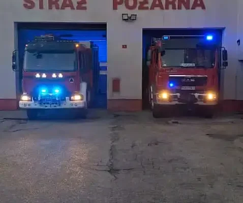 Nisko: dwaj strażacy PSP zginęli podczas akcji ratowniczej. Oddano im hołd
